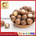 Wholesale Macadamia Nuts with Good Taste